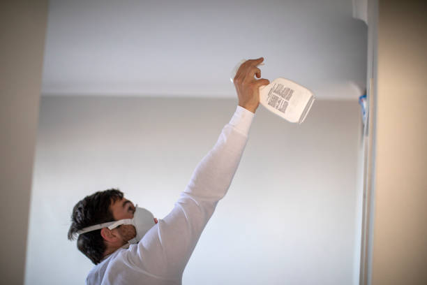 Best Mold Remediation for Specific Building Types in Hickory Hls, IL