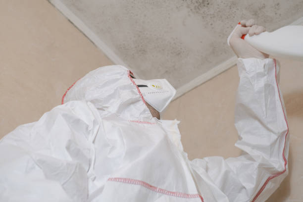Best Crawl Space Mold Remediation in Hickory Hls, IL